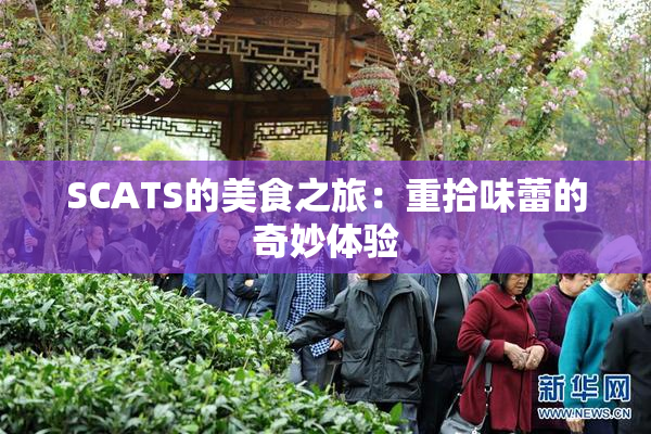 SCATS的美食之旅：重拾味蕾的奇妙体验