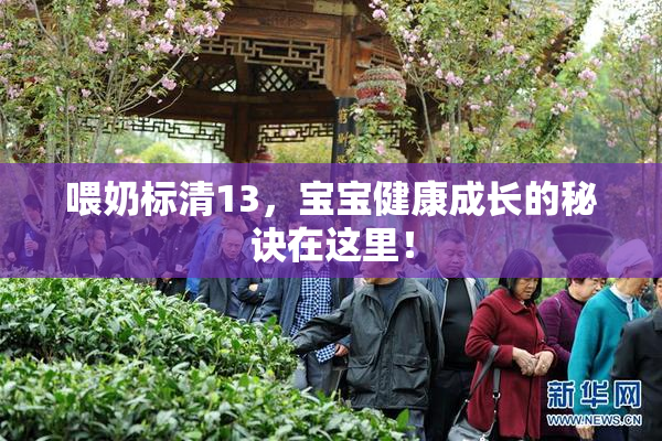 喂奶标清13，宝宝健康成长的秘诀在这里！