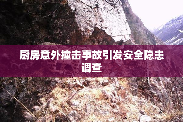 厨房意外撞击事故引发安全隐患调查