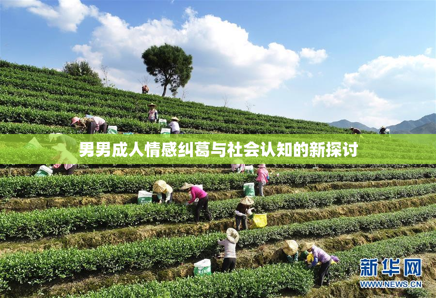 男男成人情感纠葛与社会认知的新探讨