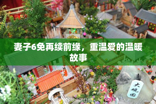 妻子6免再续前缘，重温爱的温暖故事