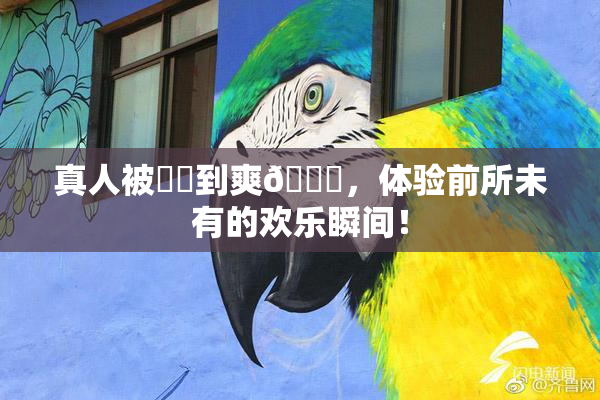真人被❌‌到爽🔞，体验前所未有的欢乐瞬间！