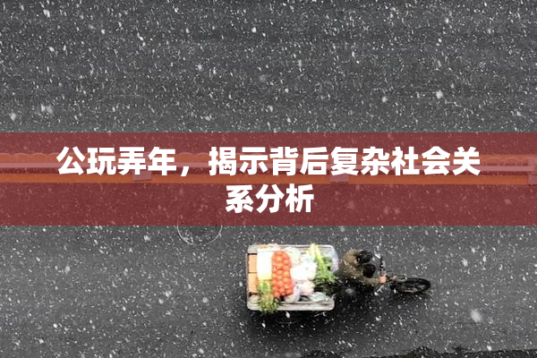 公玩弄年，揭示背后复杂社会关系分析