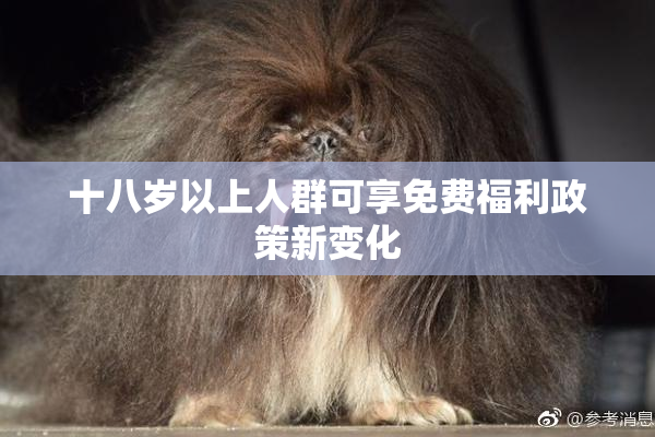 十八岁以上人群可享免费福利政策新变化