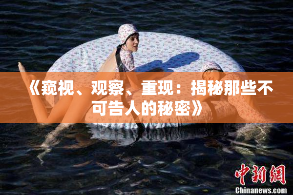 《窥视、观察、重现：揭秘那些不可告人的秘密》