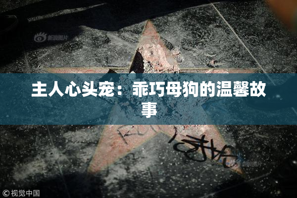 主人心头宠：乖巧母狗的温馨故事