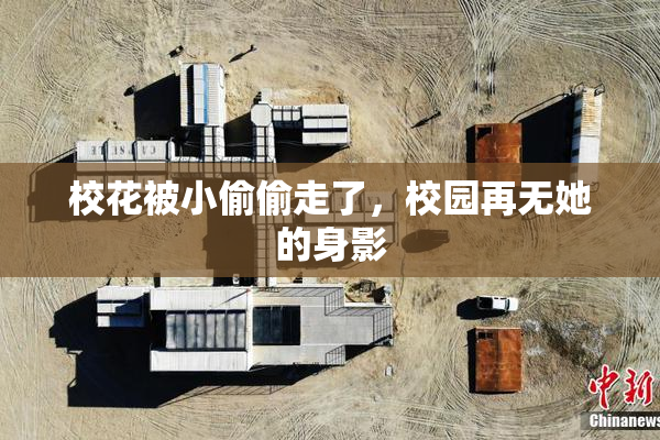 校花被小偷偷走了，校园再无她的身影