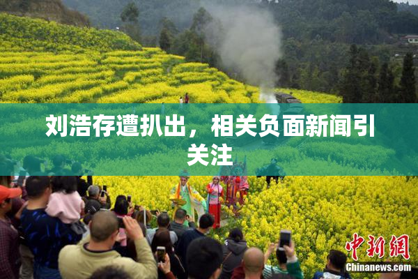 刘浩存遭扒出，相关负面新闻引关注