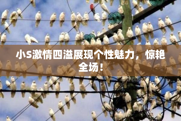 小S激情四溢展现个性魅力，惊艳全场！