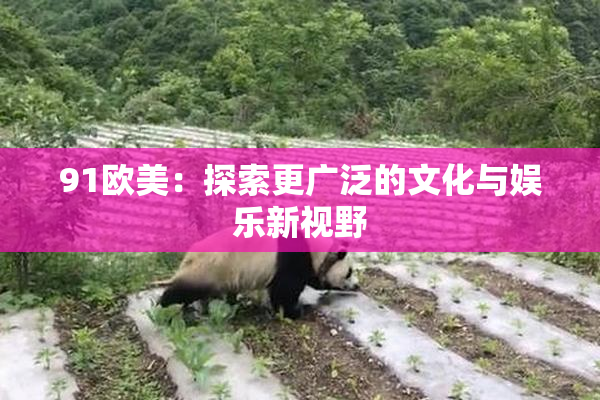 91欧美：探索更广泛的文化与娱乐新视野
