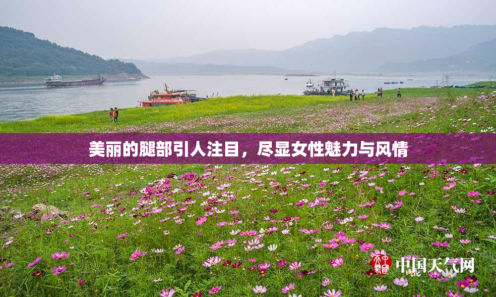 美丽的腿部引人注目，尽显女性魅力与风情