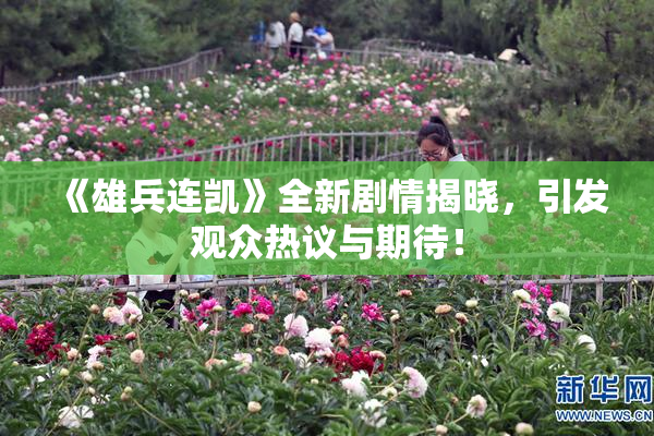 《雄兵连凯》全新剧情揭晓，引发观众热议与期待！