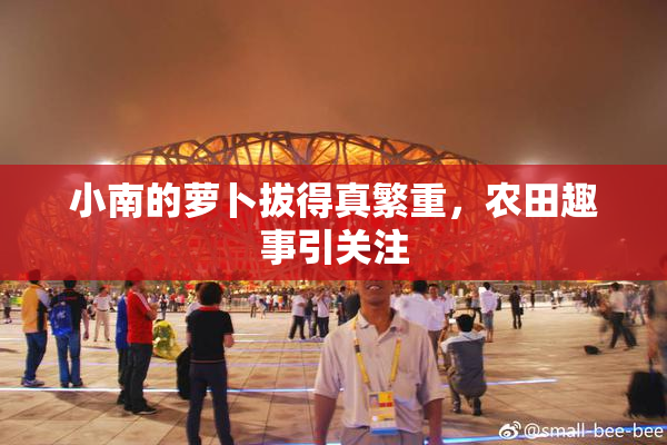 小南的萝卜拔得真繁重，农田趣事引关注