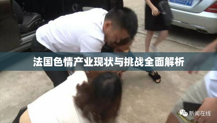 法国色情产业现状与挑战全面解析