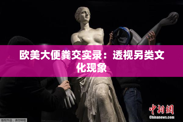欧美大便粪交实录：透视另类文化现象