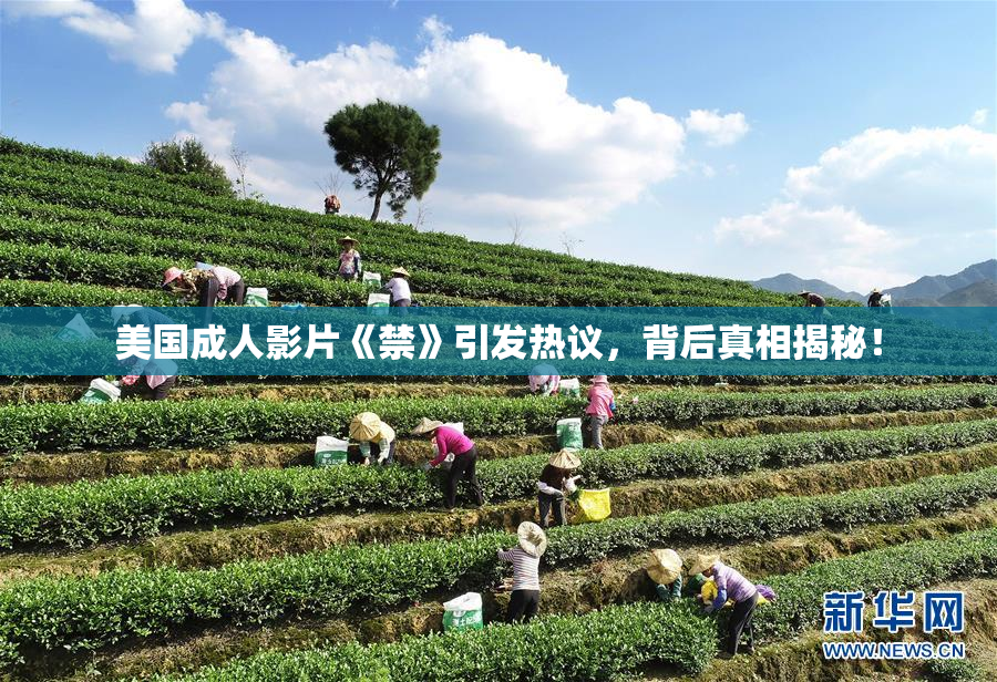 美国成人影片《禁》引发热议，背后真相揭秘！