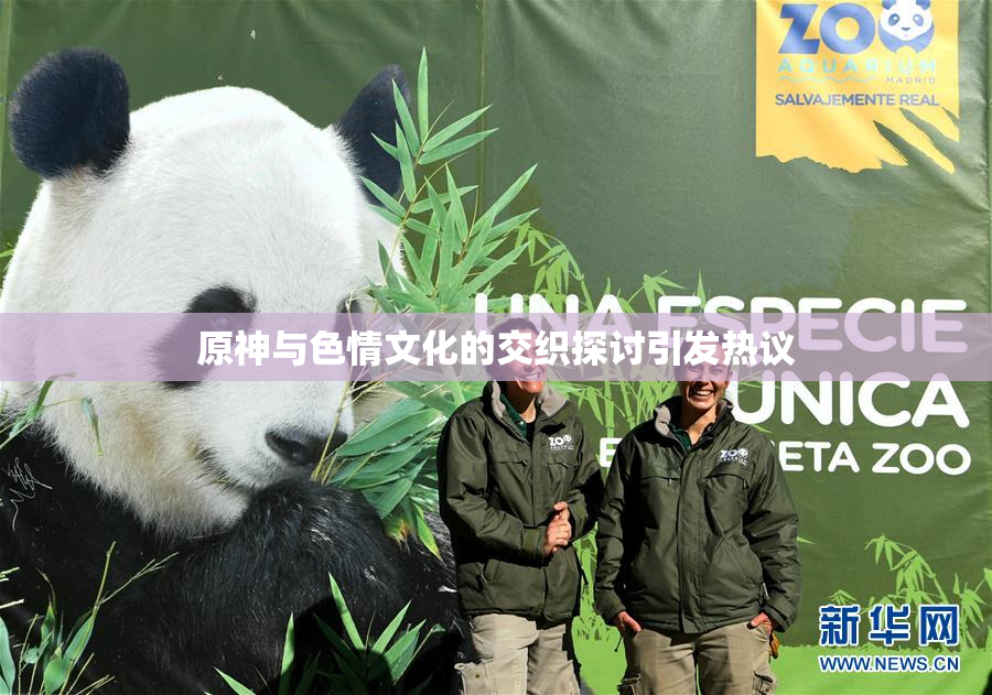 原神与色情文化的交织探讨引发热议