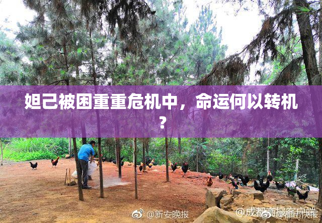 妲己被困重重危机中，命运何以转机？