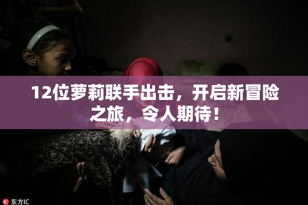 12位萝莉联手出击，开启新冒险之旅，令人期待！