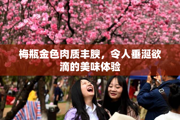 梅瓶金色肉质丰腴，令人垂涎欲滴的美味体验