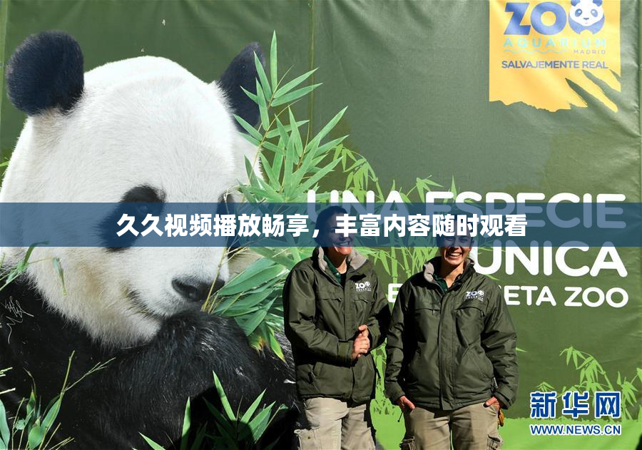久久视频播放畅享，丰富内容随时观看