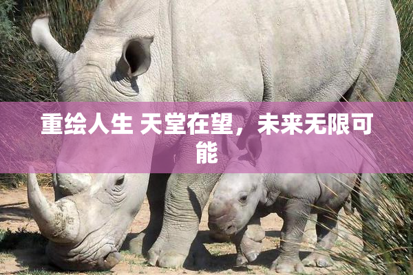 重绘人生 天堂在望，未来无限可能