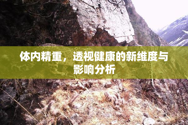体内精重，透视健康的新维度与影响分析