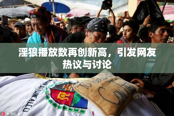 淫狼播放数再创新高，引发网友热议与讨论