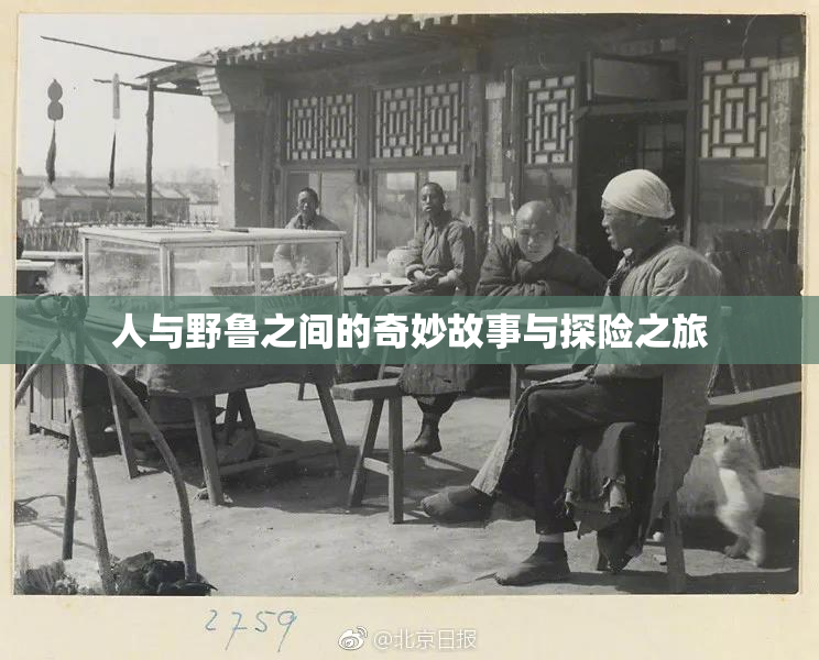 人与野鲁之间的奇妙故事与探险之旅