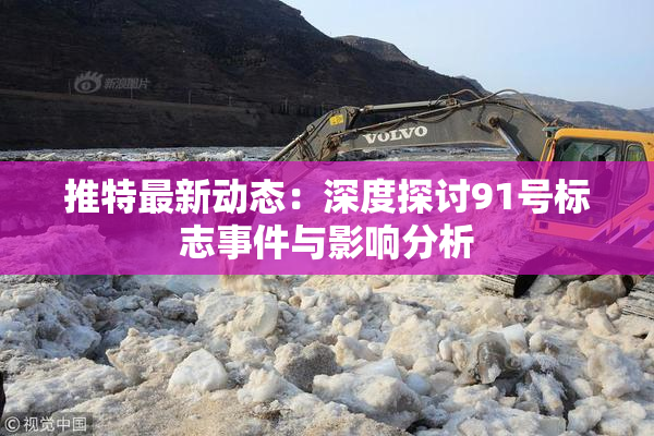 推特最新动态：深度探讨91号标志事件与影响分析