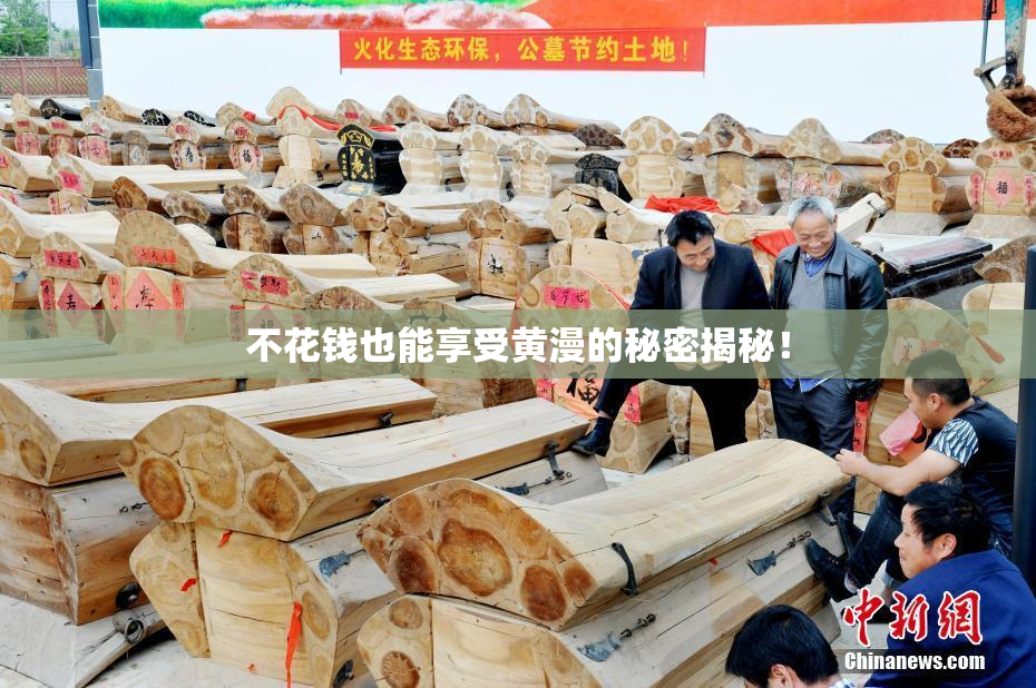 不花钱也能享受黄漫的秘密揭秘！