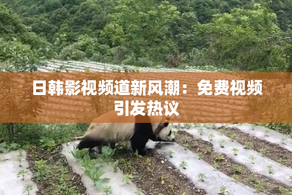 日韩影视频道新风潮：免费视频引发热议