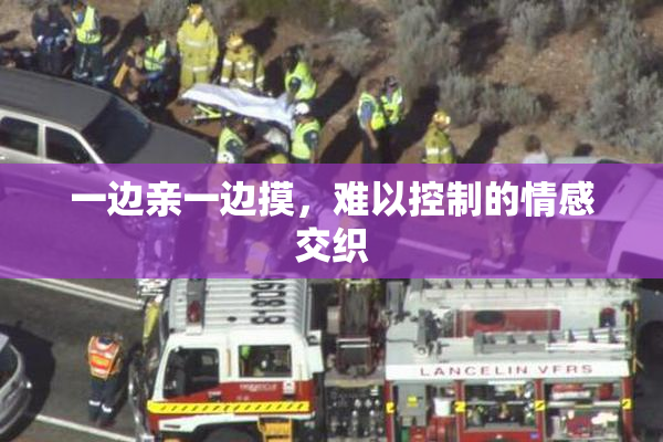 一边亲一边摸，难以控制的情感交织