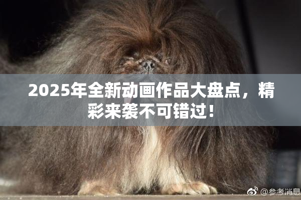 2025年全新动画作品大盘点，精彩来袭不可错过！