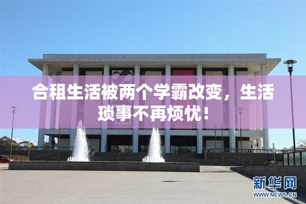 合租生活被两个学霸改变，生活琐事不再烦忧！