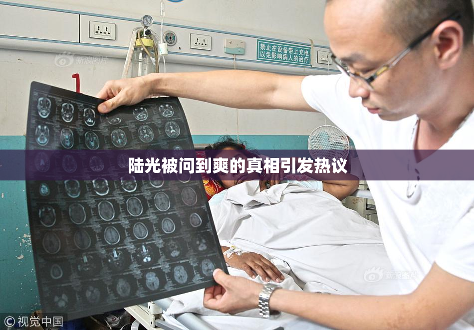 陆光被问到爽的真相引发热议