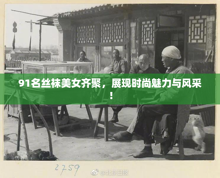 91名丝袜美女齐聚，展现时尚魅力与风采！