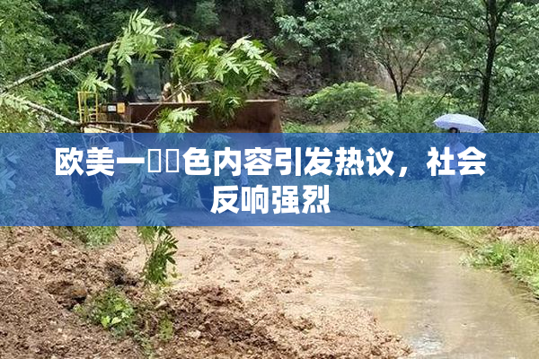 欧美一級黃色内容引发热议，社会反响强烈