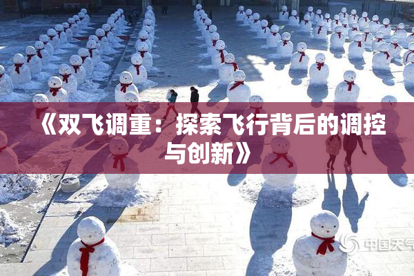 《双飞调重：探索飞行背后的调控与创新》