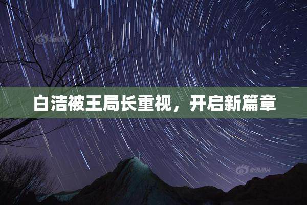 白洁被王局长重视，开启新篇章