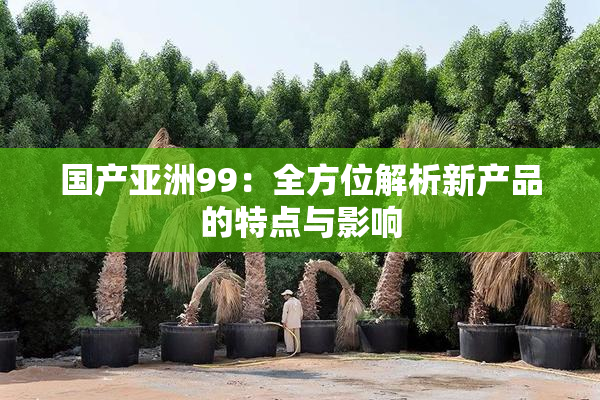 国产亚洲99：全方位解析新产品的特点与影响