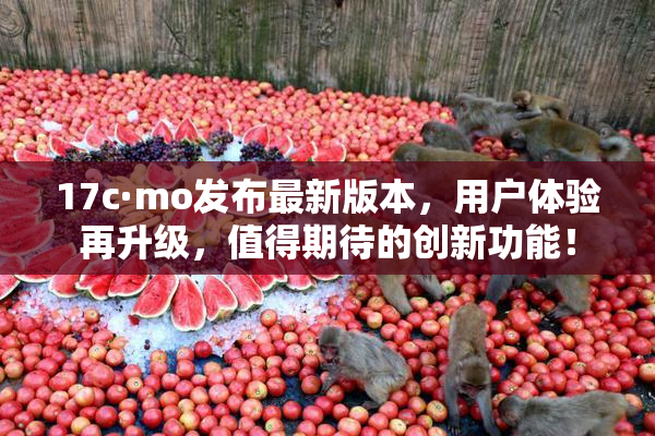 17c·mo发布最新版本，用户体验再升级，值得期待的创新功能！