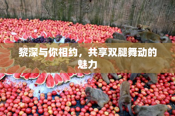 黎深与你相约，共享双腿舞动的魅力
