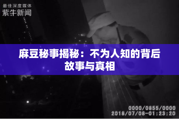麻豆秘事揭秘：不为人知的背后故事与真相