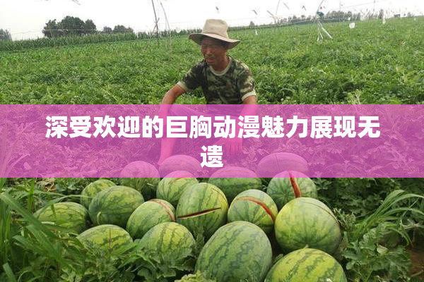 深受欢迎的巨胸动漫魅力展现无遗