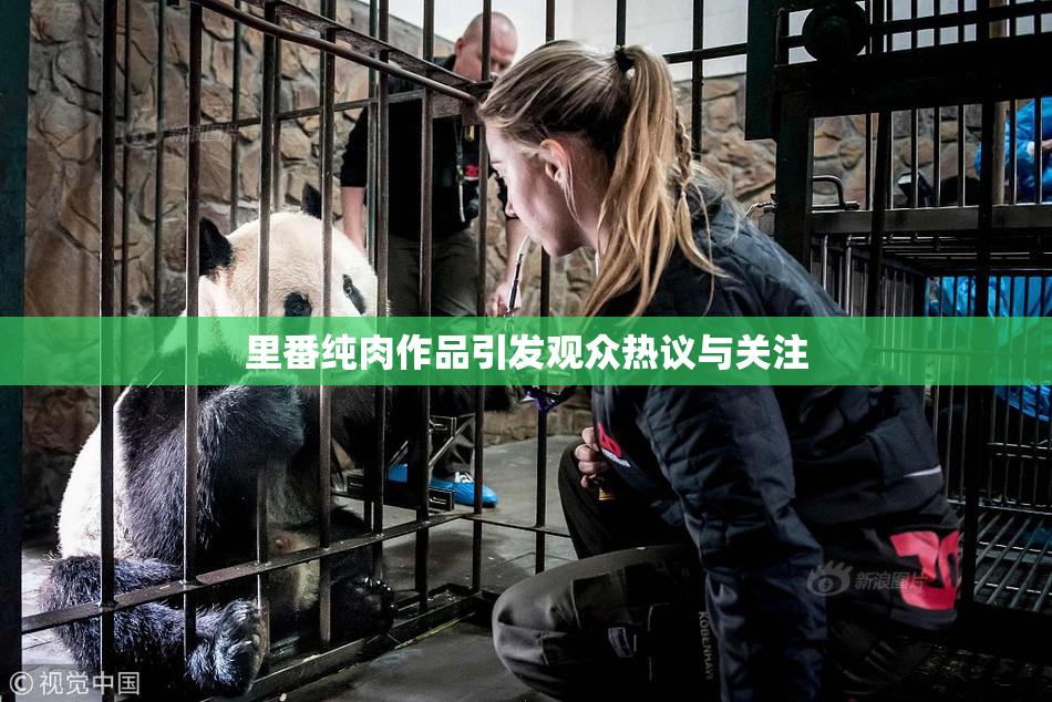 里番纯肉作品引发观众热议与关注