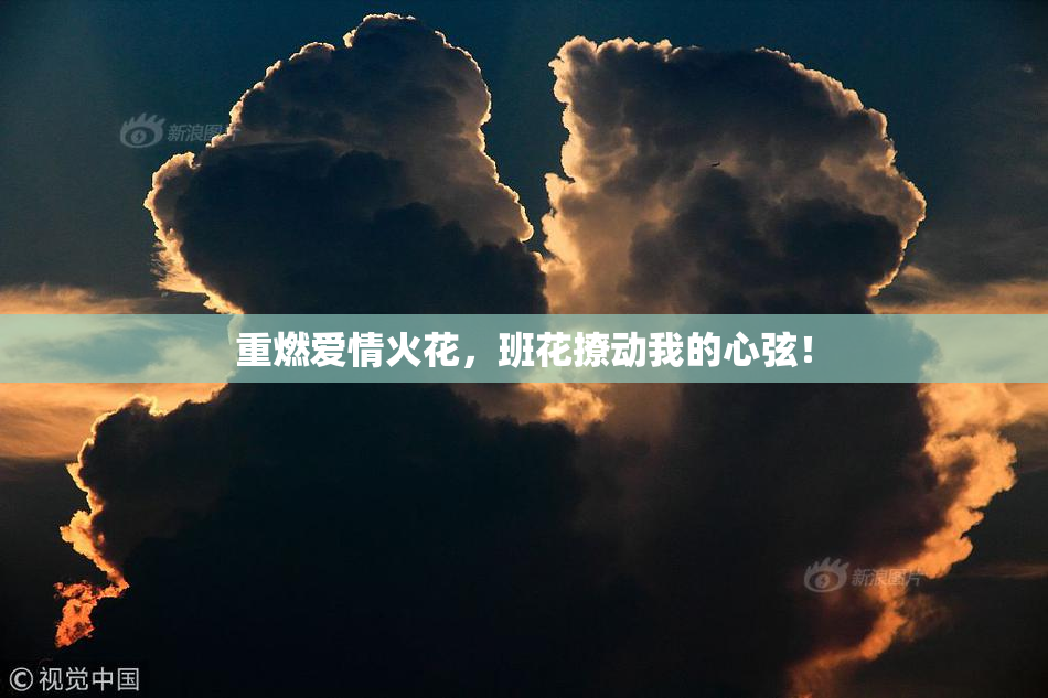 重燃爱情火花，班花撩动我的心弦！