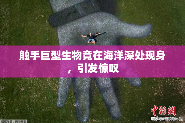 触手巨型生物竟在海洋深处现身，引发惊叹