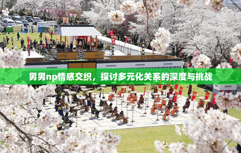 男男np情感交织，探讨多元化关系的深度与挑战
