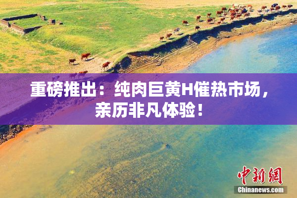 重磅推出：纯肉巨黄H催热市场，亲历非凡体验！